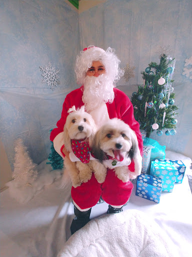 Pet Supply Store «Pet Supplies Plus», reviews and photos, 1411 S Stockton St, Lodi, CA 95240, USA