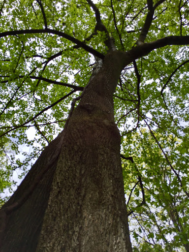 Nature Preserve «Eidolon Nature Preserve», reviews and photos, 2146 Orleans Rd, Great Cacapon, WV 25422, USA