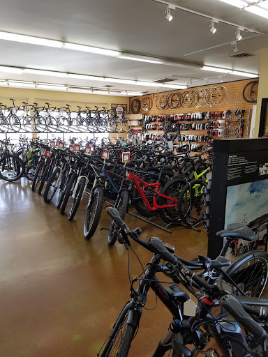 Bicycle Store «Landis Cyclery», reviews and photos, 2180 E Southern Ave, Tempe, AZ 85282, USA