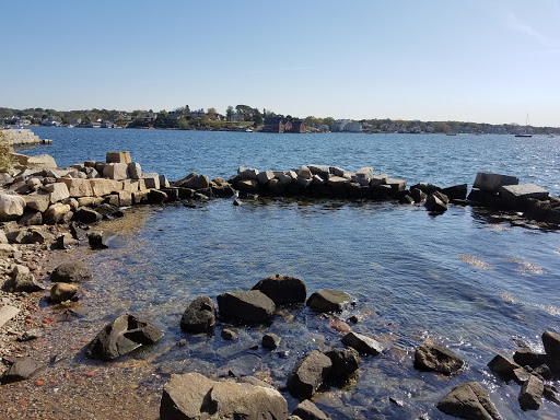 Whale Watching Tour Agency «7 Seas Whale Watch», reviews and photos, 63 Rogers St, Gloucester, MA 01930, USA