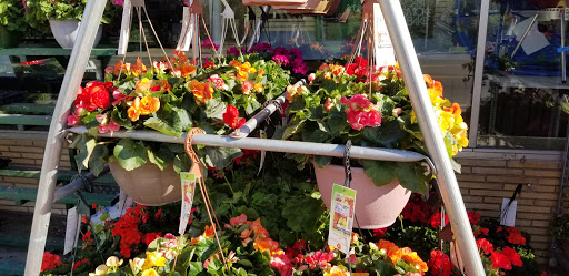 Home Improvement Store «Navarre True Value Hardware», reviews and photos, 3400 Shoreline Dr, Wayzata, MN 55391, USA