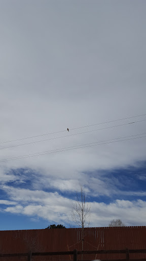 Park «Cherry Creek Valley Ecological Park», reviews and photos, 7500 S Jasper Ct, Centennial, CO 80112, USA