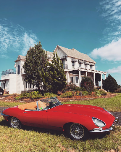 Winery «Tara Vineyard and Winery», reviews and photos, 8603 Co Rd 3914, Athens, TX 75752, USA