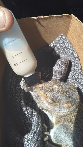 Pet Supply Store «Petco Animal Supplies», reviews and photos, 16417 Merchants Ln, King George, VA 22485, USA