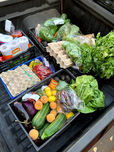 http://www.vegapaca.cl/