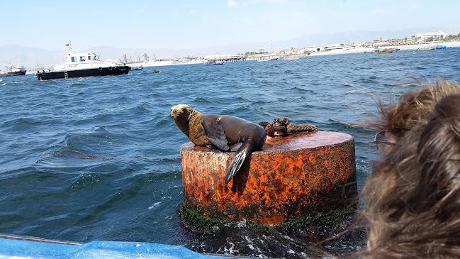 Horarios de Áridos Mejillones