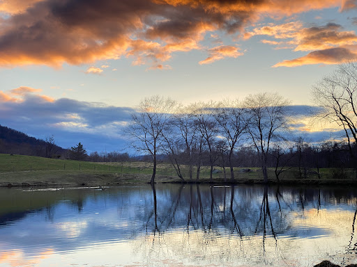 Ranch «The Marriott Ranch Bed and Breakfast», reviews and photos, 5305 Marriott Ln, Hume, VA 22639, USA