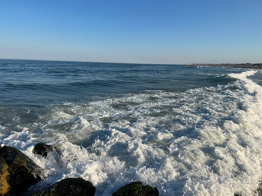 Convenience Store «7-Eleven», reviews and photos, 801 Ocean Ave, Belmar, NJ 07719, USA