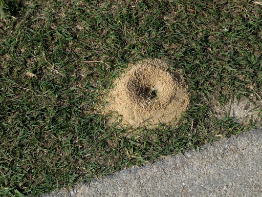 Golf Club «Stoneybrook Golf Club», reviews and photos, 21251 Stoneybrook Golf Blvd, Estero, FL 33928, USA