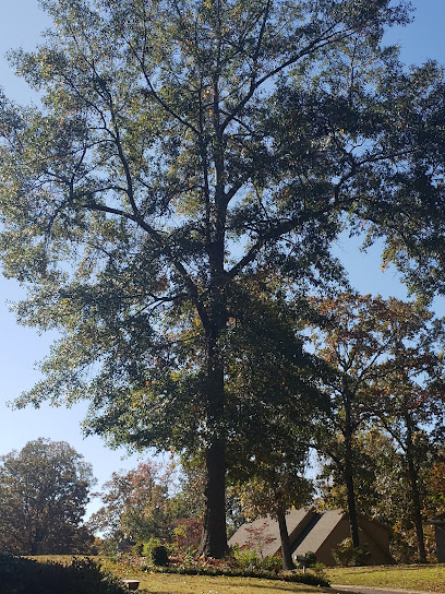 Log and Leaf Tree Service