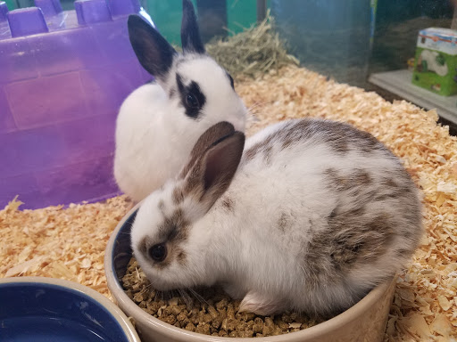 Pet Store «Friendly Pets», reviews and photos, 625 Friendly Center Rd, Greensboro, NC 27408, USA