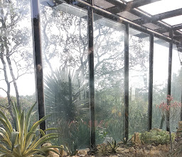 Mexico Garden photo