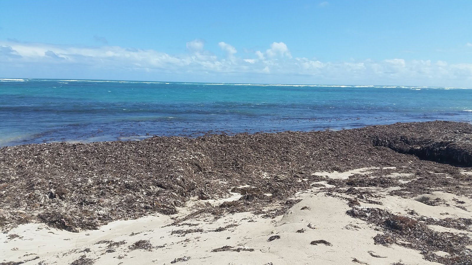 Photo de 7 Mile Beach avec un niveau de propreté de très propre