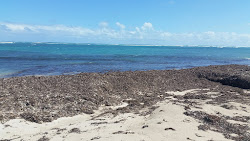 Photo de 7 Mile Beach avec un niveau de propreté de très propre