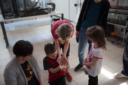 Farm «Idlewild Butterfly Farm», reviews and photos, 1100 Logan St, Louisville, KY 40204, USA