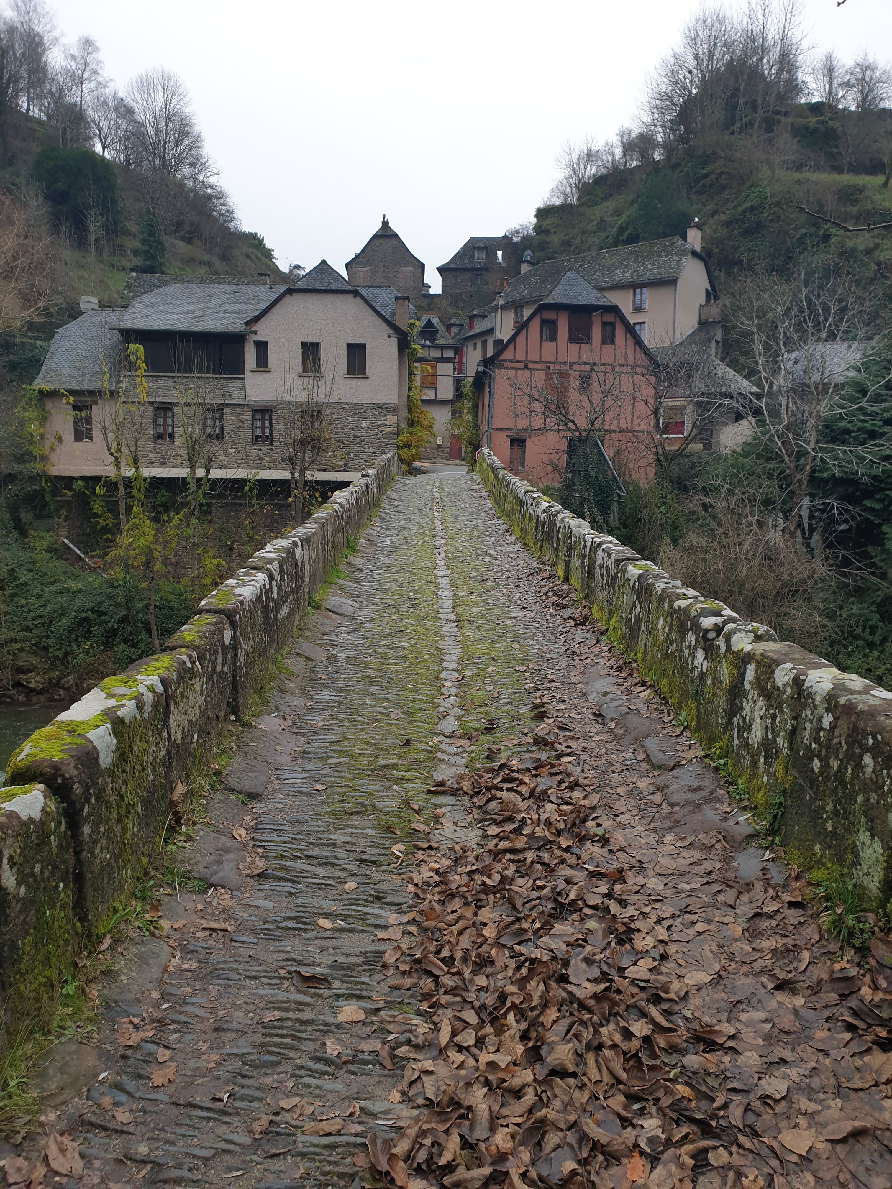 Photo n° 1 de l'avis de Jorge. fait le 28/12/2020 à 16:35