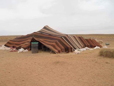 Photos of الجلفة