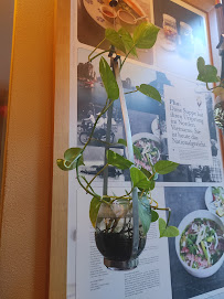 HQ Vietnamese cuisine à Rosenheim menu