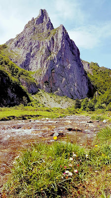Pol'Ethik Bio à Oloron-Sainte-Marie