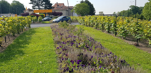 Champagne Veuve Clicquot - Centre de Visite à Reims