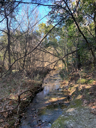 Blunn Creek Nature Preserve