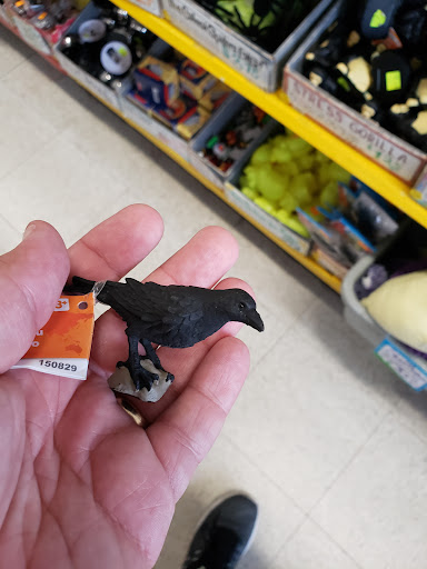 School Supply Store «American Science & Surplus», reviews and photos, 33W361 Roosevelt Rd, West Chicago, IL 60185, USA