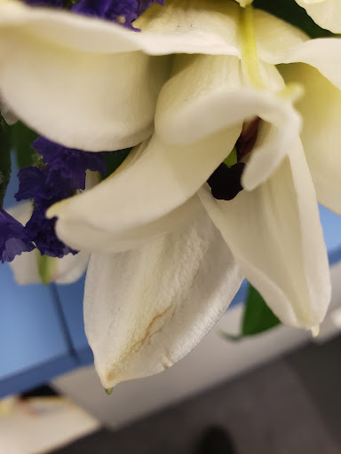 Florist «HAPPY FLOWERS», reviews and photos, 20709 US-27, Lake Wales, FL 33853, USA