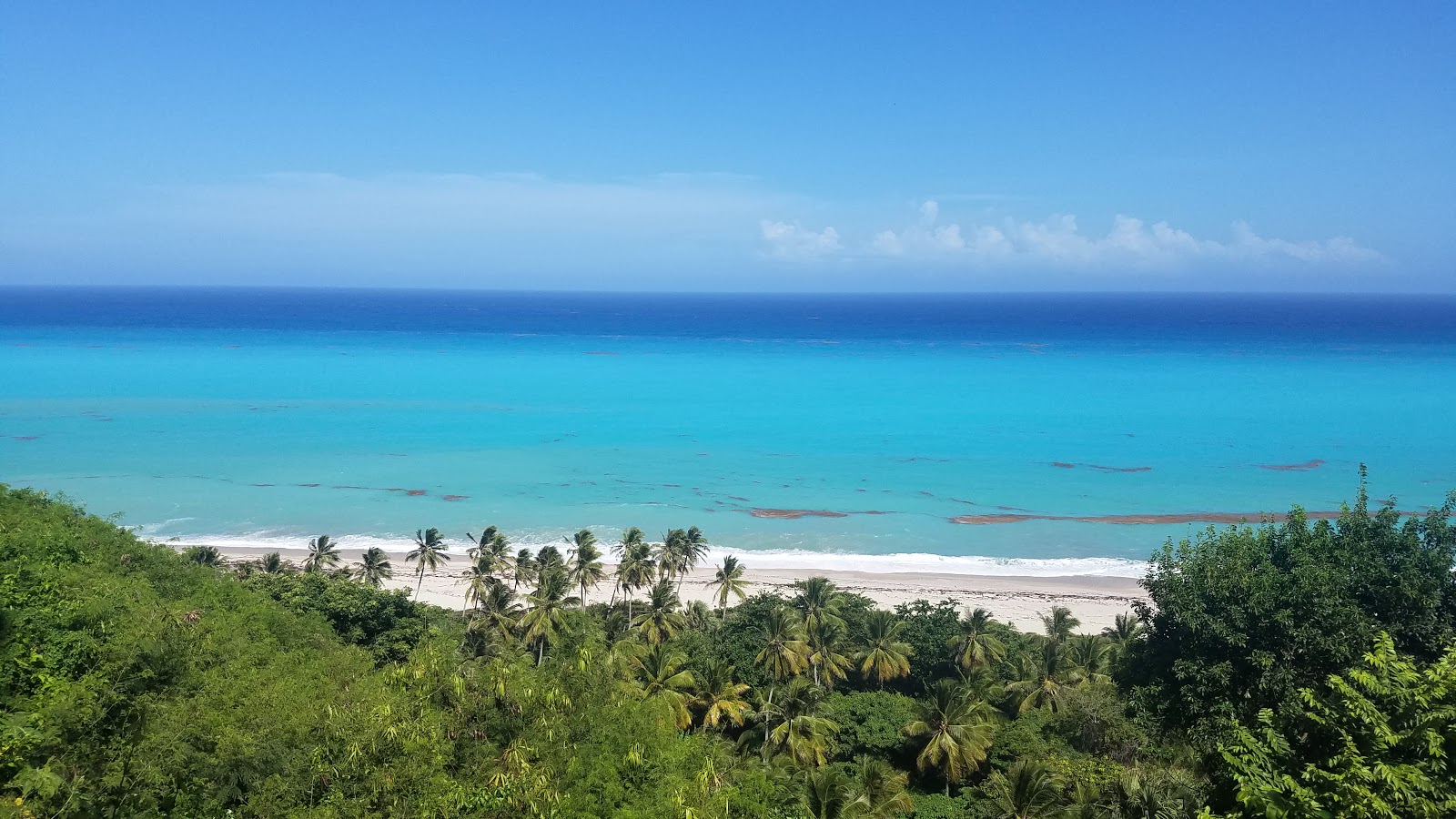 Caleton beach的照片 带有宽敞的海岸线