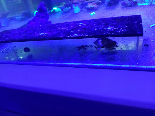 Barber Shop «Southland Barber Styling Shop», reviews and photos, 983 W State Rd 84, Fort Lauderdale, FL 33315, USA