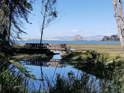 Morro Coast Audubon Society Sweet Springs Nature Preserve