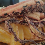 Photo n°2 de l'avis de Rita.a fait le 27/08/2022 à 12:27 sur le  frontemare beach à Rocca Imperiale