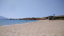 Agrilaopotamos beach'in fotoğrafı geniş ile birlikte
