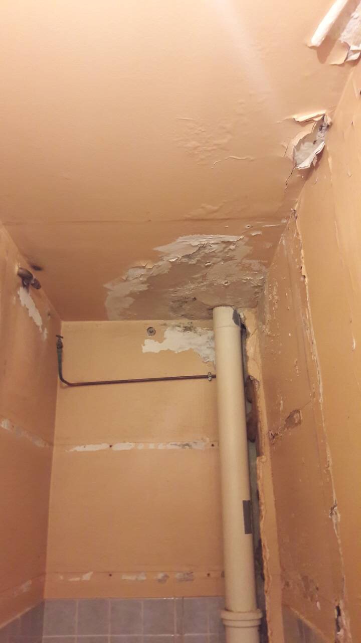 Photo n° 1 de l'avis de Mina.B fait le 06/09/2018 à 07:11
