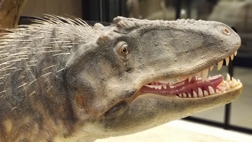 Natural History Museum «Natural History Museum of Utah», reviews and photos, 301 Wakara Way, Salt Lake City, UT 84108, USA