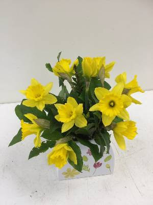 Florist «Flower Patch», reviews and photos, 560 500 W, Bountiful, UT 84010, USA