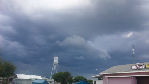 Supermarket «Harvest Meat Market», reviews and photos, 130 E Haines Blvd, Lake Alfred, FL 33850, USA