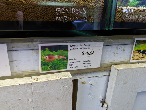 Tropical Fish Store «C K Fish World», reviews and photos, 410 N Azusa Ave, West Covina, CA 91791, USA