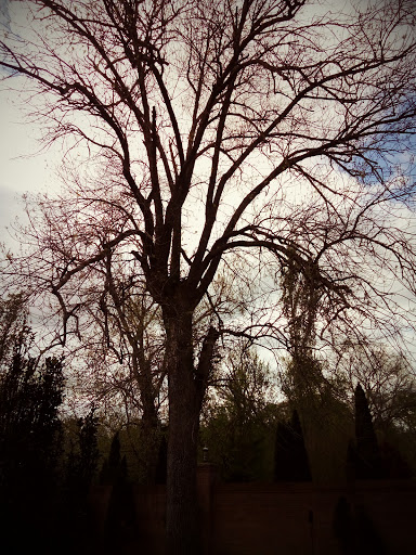 Tourist Attraction «Falcon Rest Mansion & Gardens», reviews and photos, 2645 Faulkner Springs Rd, McMinnville, TN 37110, USA