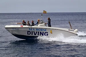 Sea Horse Scuba Diving Centre image