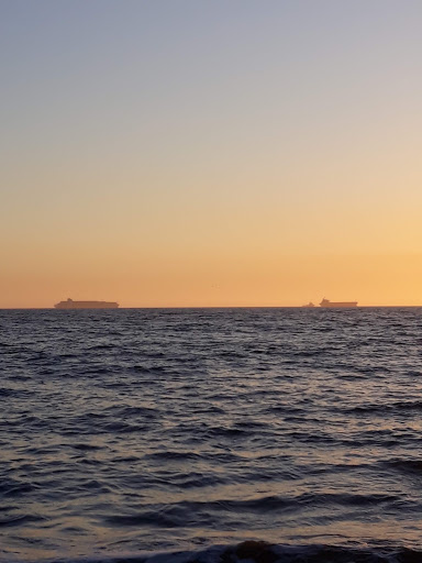 Market «Dolphin Market», reviews and photos, 1430 Ocean Ave, Seal Beach, CA 90740, USA