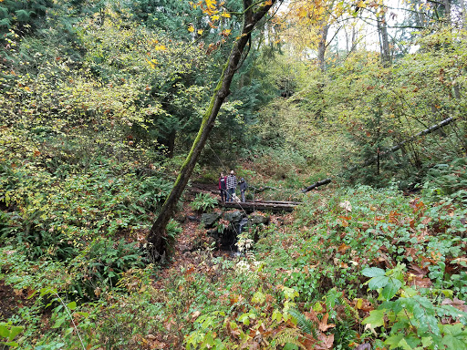 Park «Frink Park», reviews and photos, 398 Lake Washington Blvd S, Seattle, WA 98144, USA