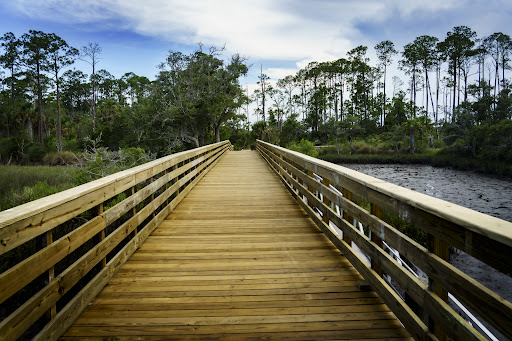 Dutton Island Preserve I