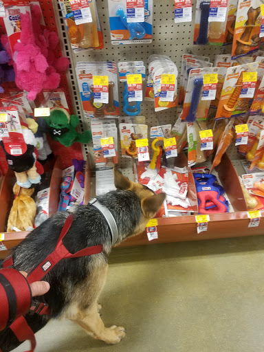 Pet Supply Store «PetSmart», reviews and photos, 122 Dunes Plaza, Michigan City, IN 46360, USA