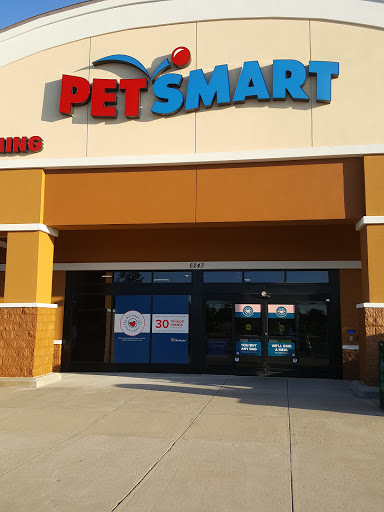 Pet Supply Store «PetSmart», reviews and photos, 6243 College Dr, Suffolk, VA 23435, USA