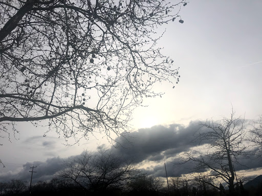 Shopping Mall «Burns Valley Mall», reviews and photos, Olympic Dr, Clearlake, CA 95422, USA