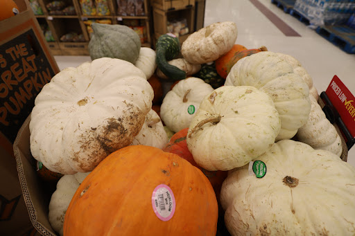 Grocery Store «Food Lion», reviews and photos, 1 New Clyde Hwy, Canton, NC 28716, USA