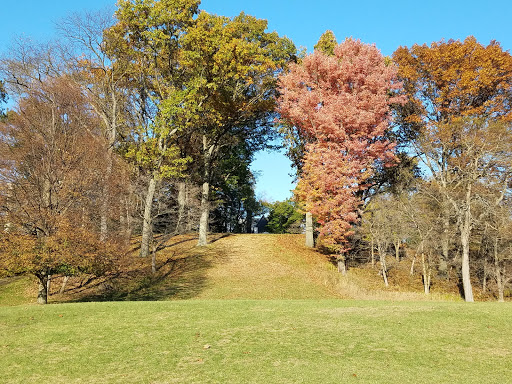 Art Center «Storm King Art Center», reviews and photos, 1 Museum Rd, New Windsor, NY 12553, USA