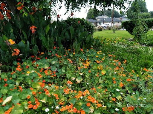 Gift Shop «Blue Hills Nursery & Gift Shop», reviews and photos, 16440 Whittier Blvd, Whittier, CA 90603, USA