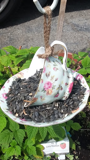 Book Store «Pipe & Thimble Bookstore», reviews and photos, 24830 Narbonne Ave, Lomita, CA 90717, USA