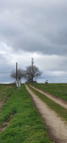 Antenne téléphonique à La Motte